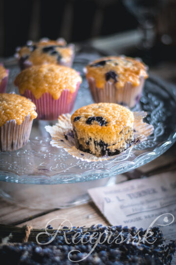 Lydia_argilli_fotenie_jedla_foodphotography_recepty_Čučoriedkové hrnčekové muffiny s jogurtom