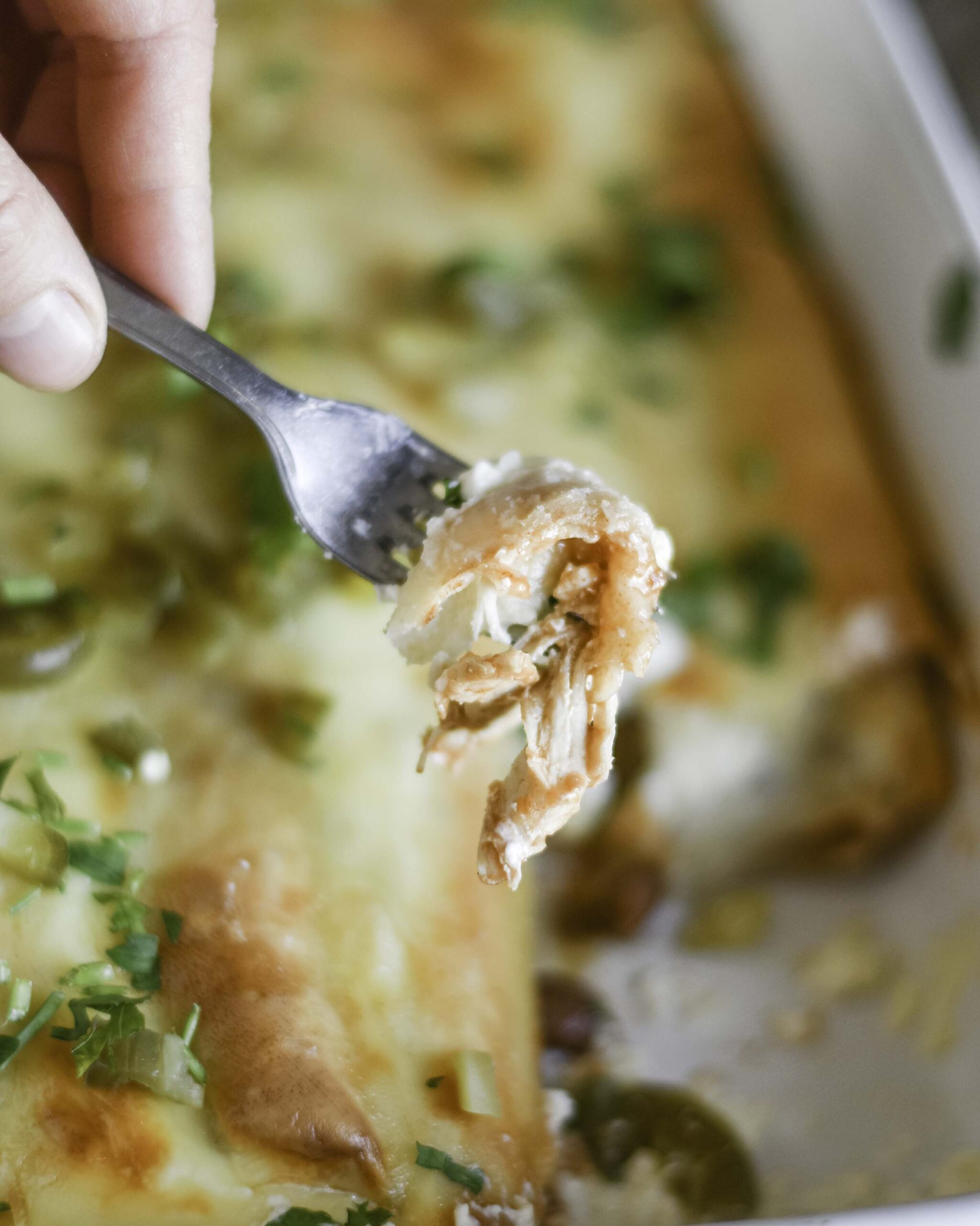 Zapečené mexické tortilly s trhaným kuracím mäsom a krémovou syrovou omáčkou