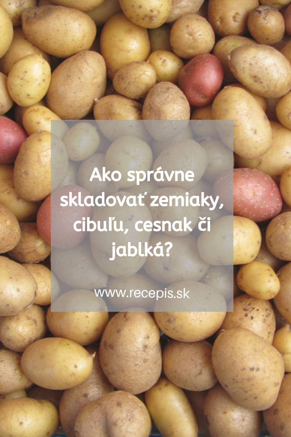Ako správne skladovať zemiaky, cibuľu, cesnak či jablká? (tipy našich starých mám)