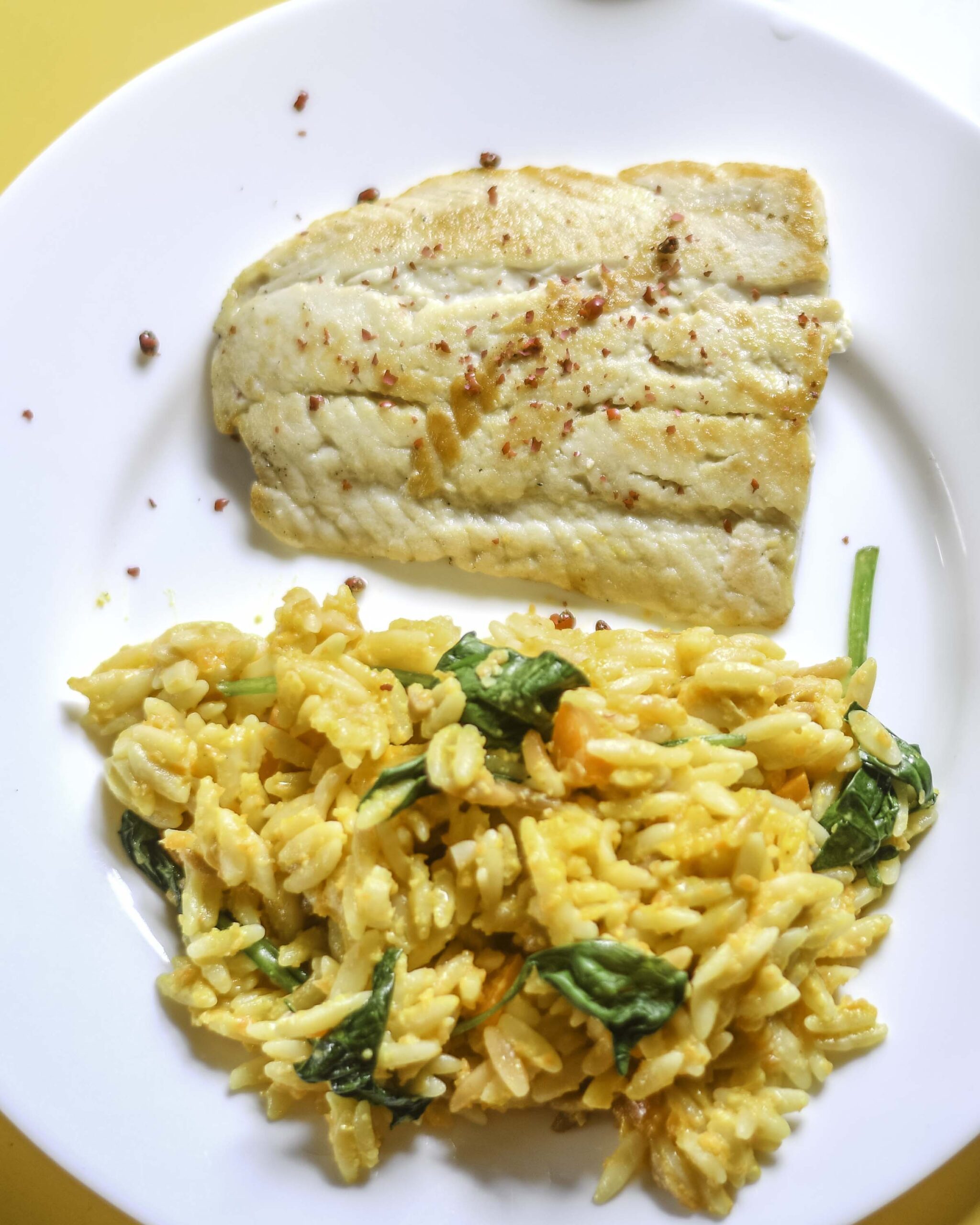 Orzo cestoviny s krémovou omáčkou z mrkvy