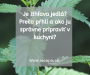 Je žihľava jedlá? Prečo pŕhli a ako ju správne pripraviť v kuchyni?