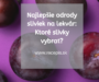 Najlepšie odrody sliviek na lekvár: Ktoré slivky vybrať?