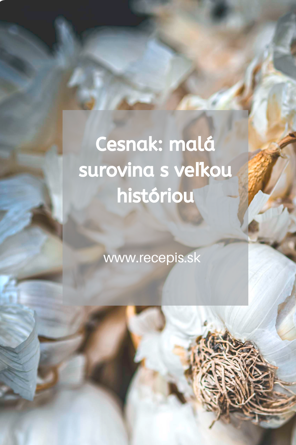 Cesnak: malá surovina s veľkou históriou. Čo dokáže a ako ho používať?